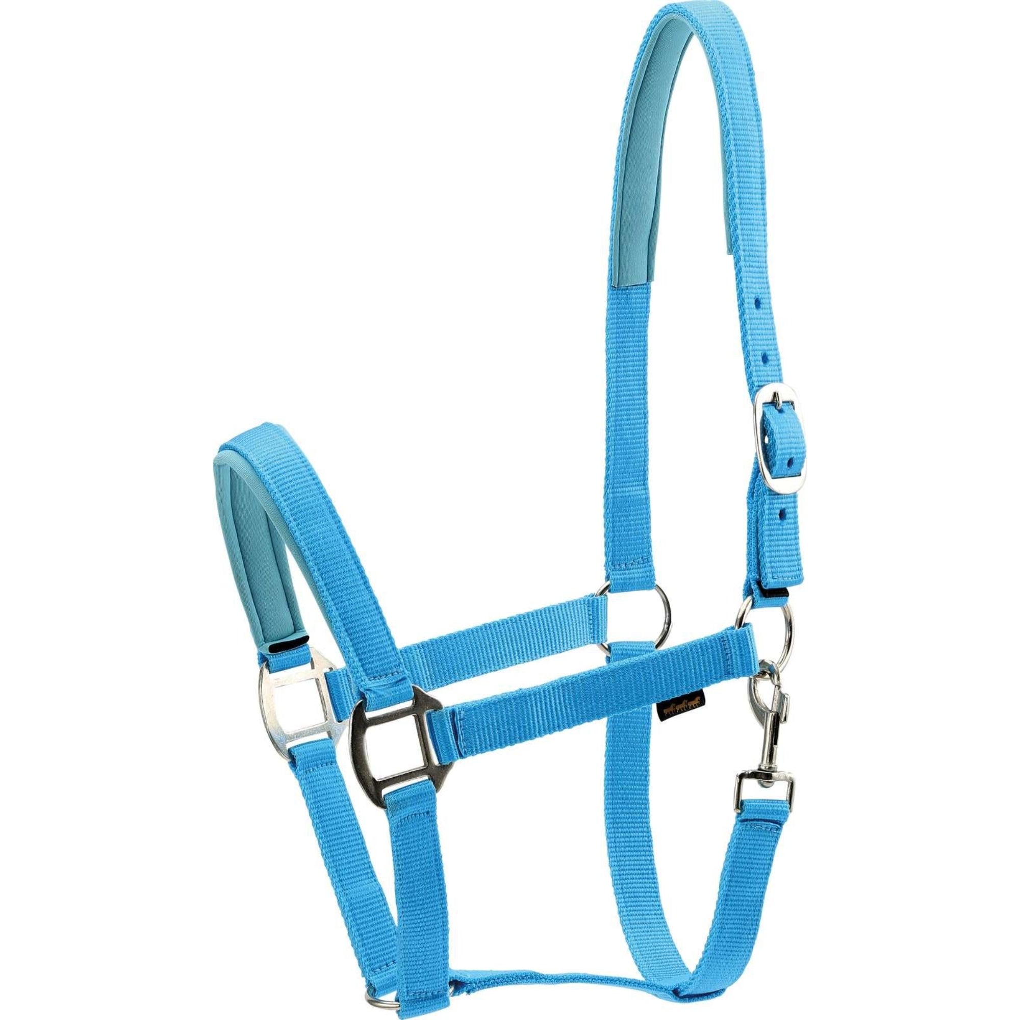 HorseGuard Nylon Halter Blue