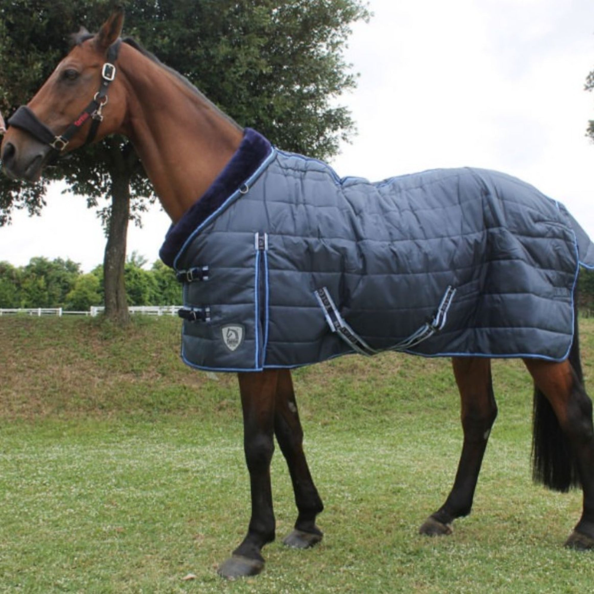 Tattini Lambswool Collar Stable Rug Navy