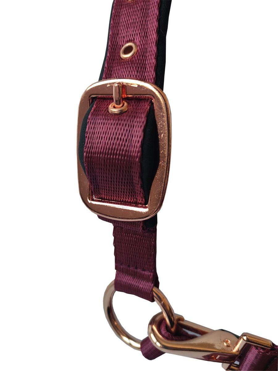 Daslo Gold Nylon Halter And Lead Rope Burgandy