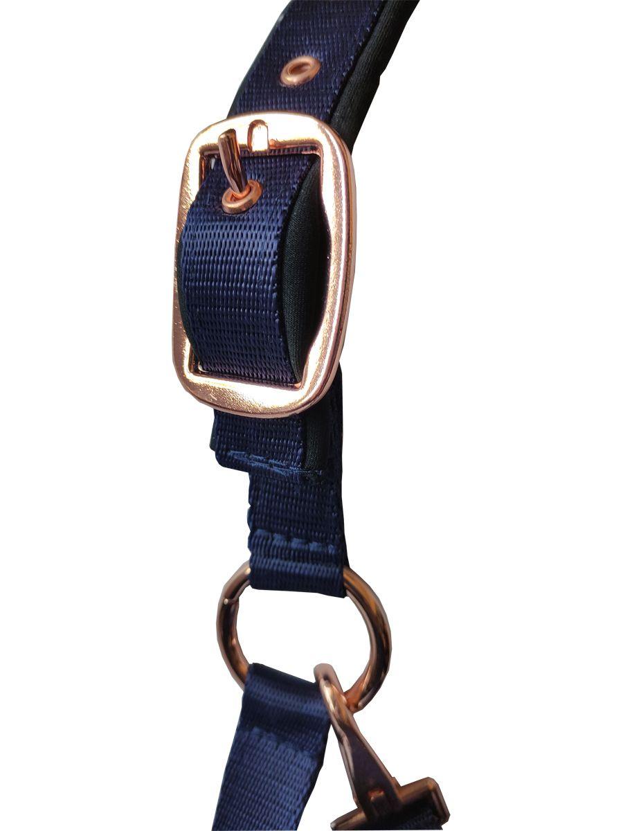Daslo Gold Nylon Halter And Lead Rope Navy
