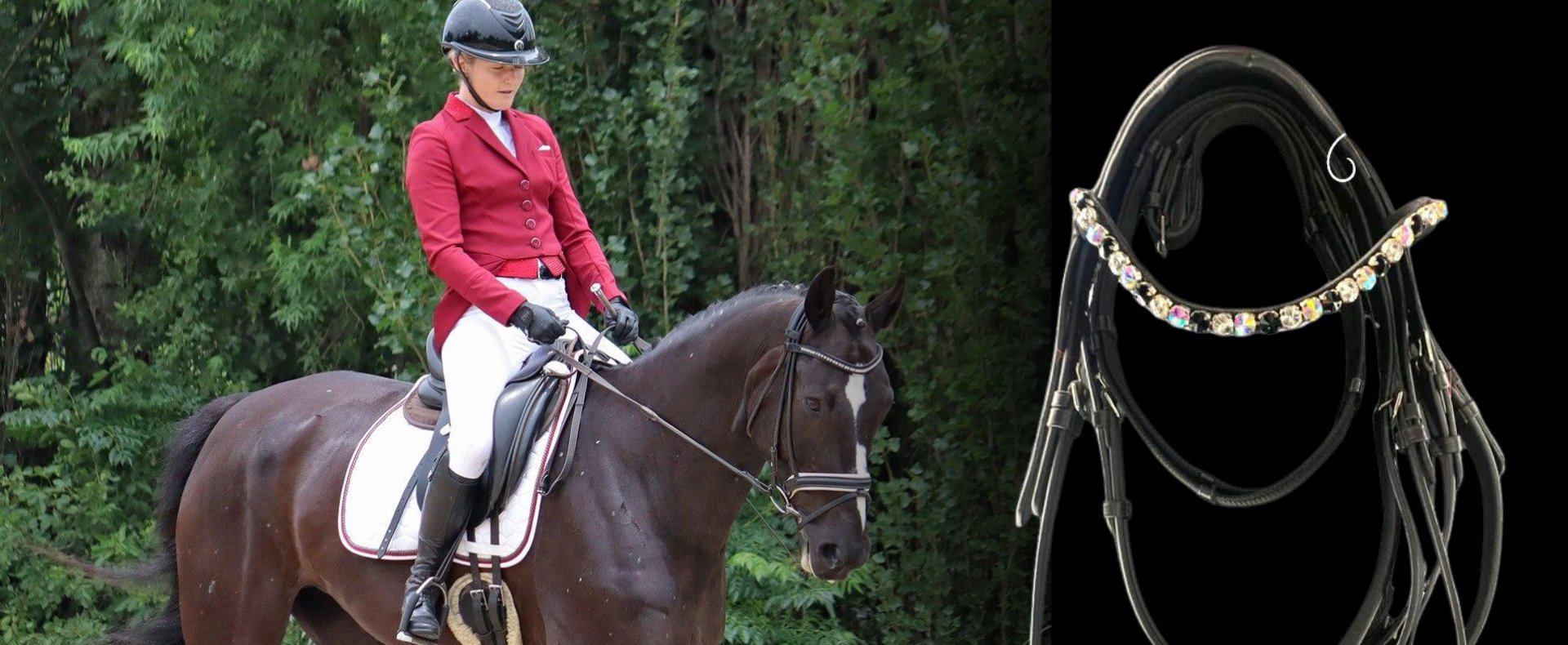 Dressage Divas