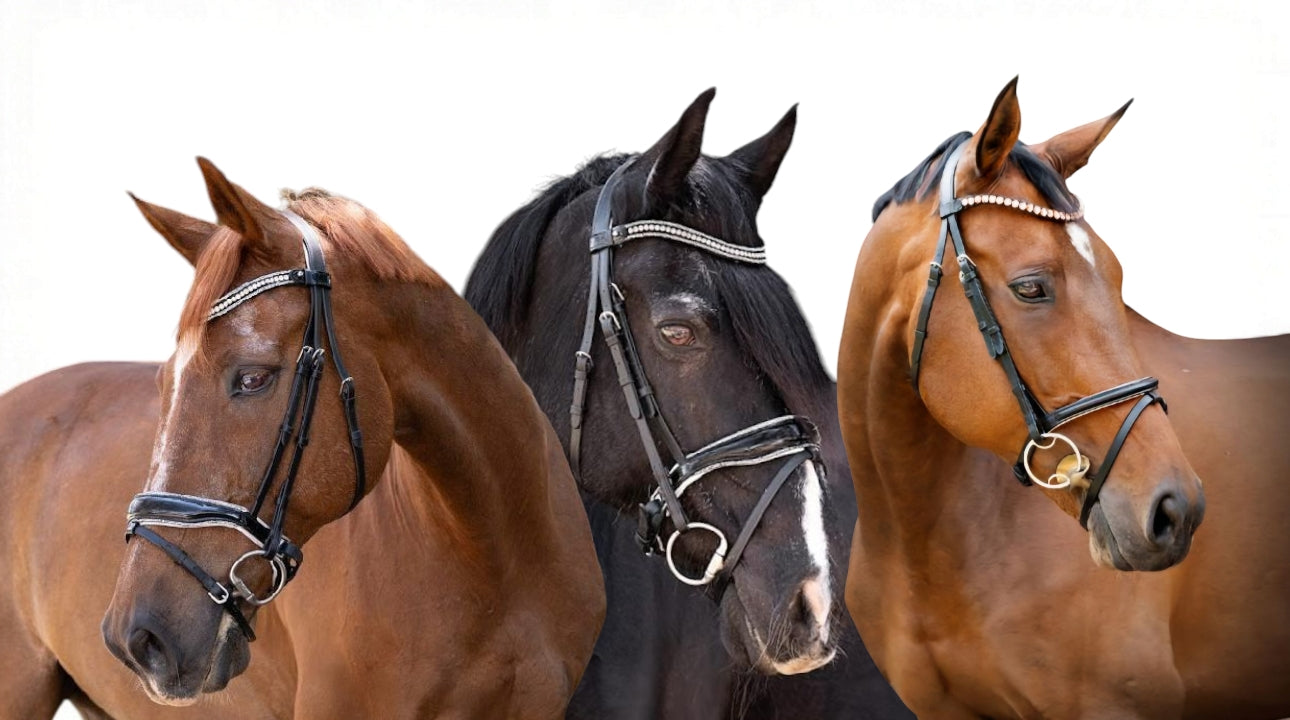 Bridles and Browbands