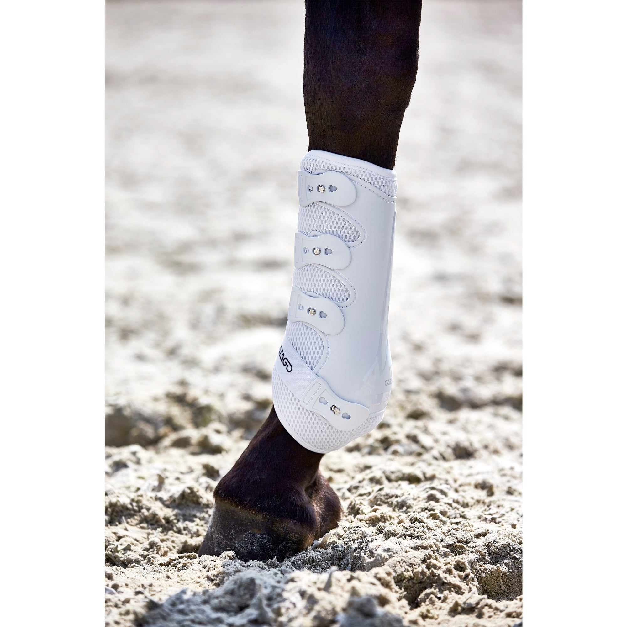 Catago Fir Tech Healing Dressage Boots