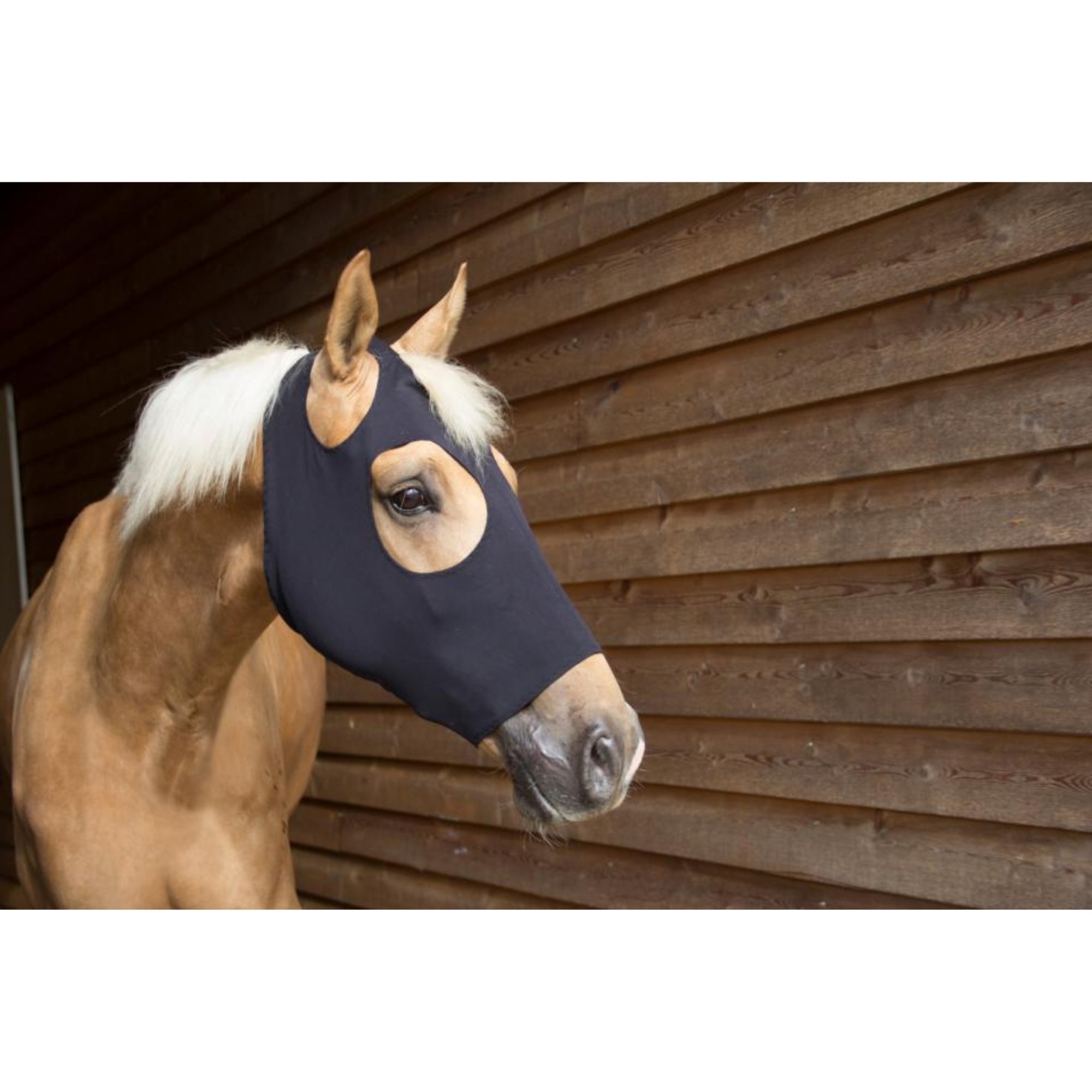Catago FIR-Tech mask