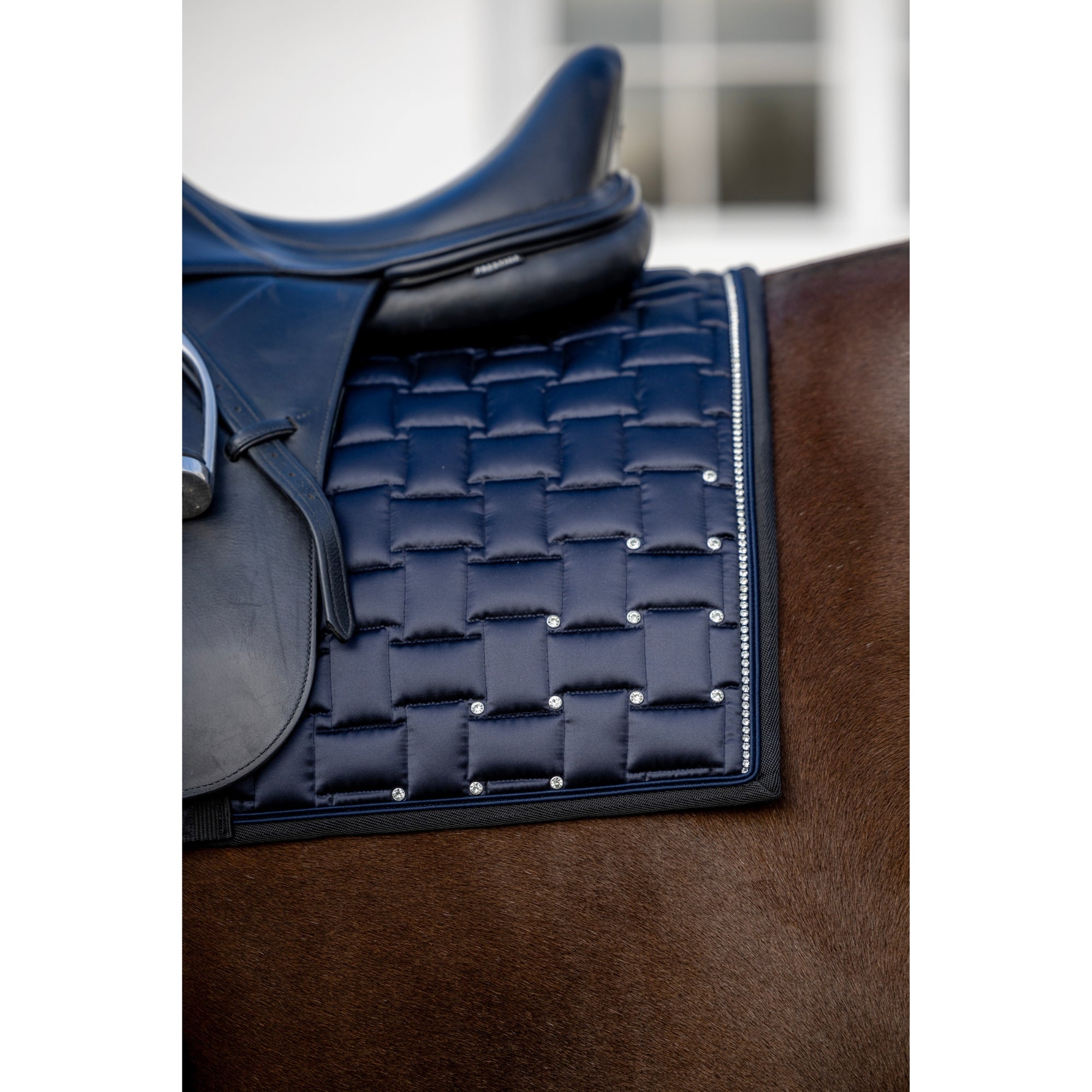 Horse Guard Ville Dressage