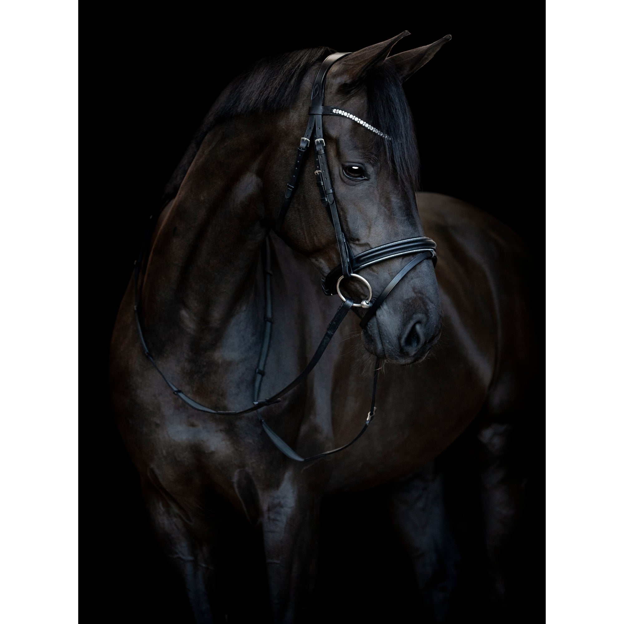 HG Emi 25.1 Bridle W/Combined NB