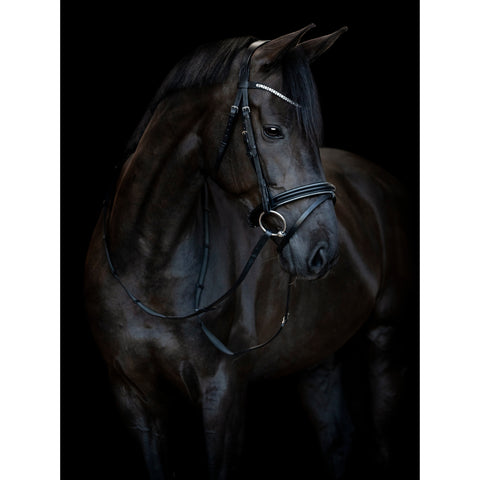 HG Emi 25.1 Bridle W/Combined NB