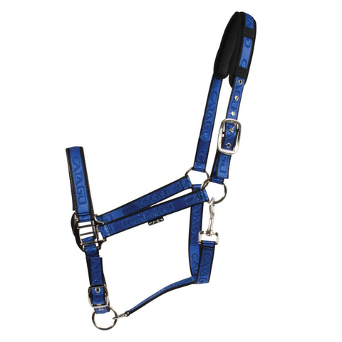 Catago New Halters