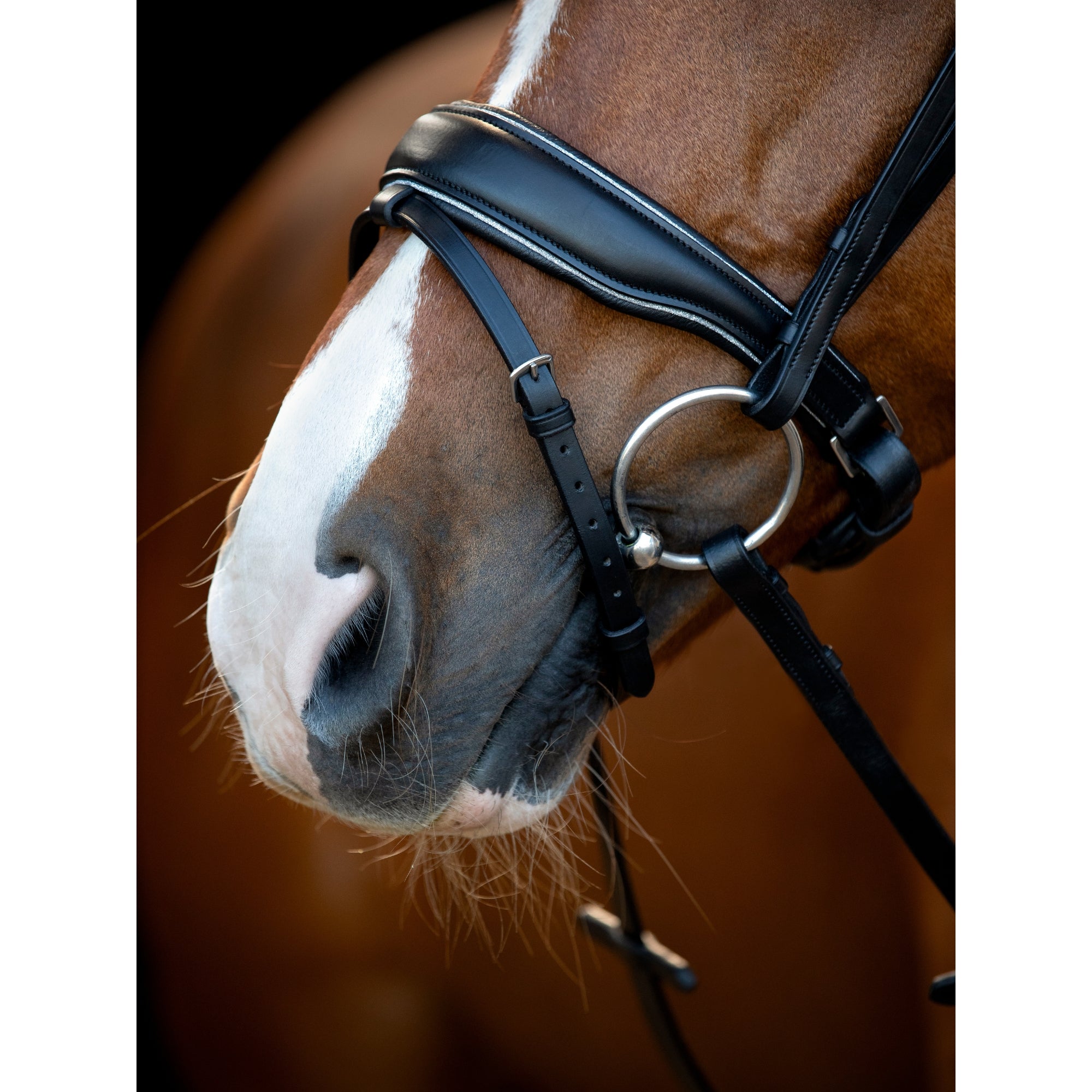 HG Cryll 25.1 Bridle W/PB And Flash