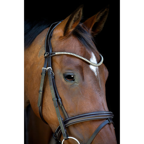 Catago Brooklyn Bridle