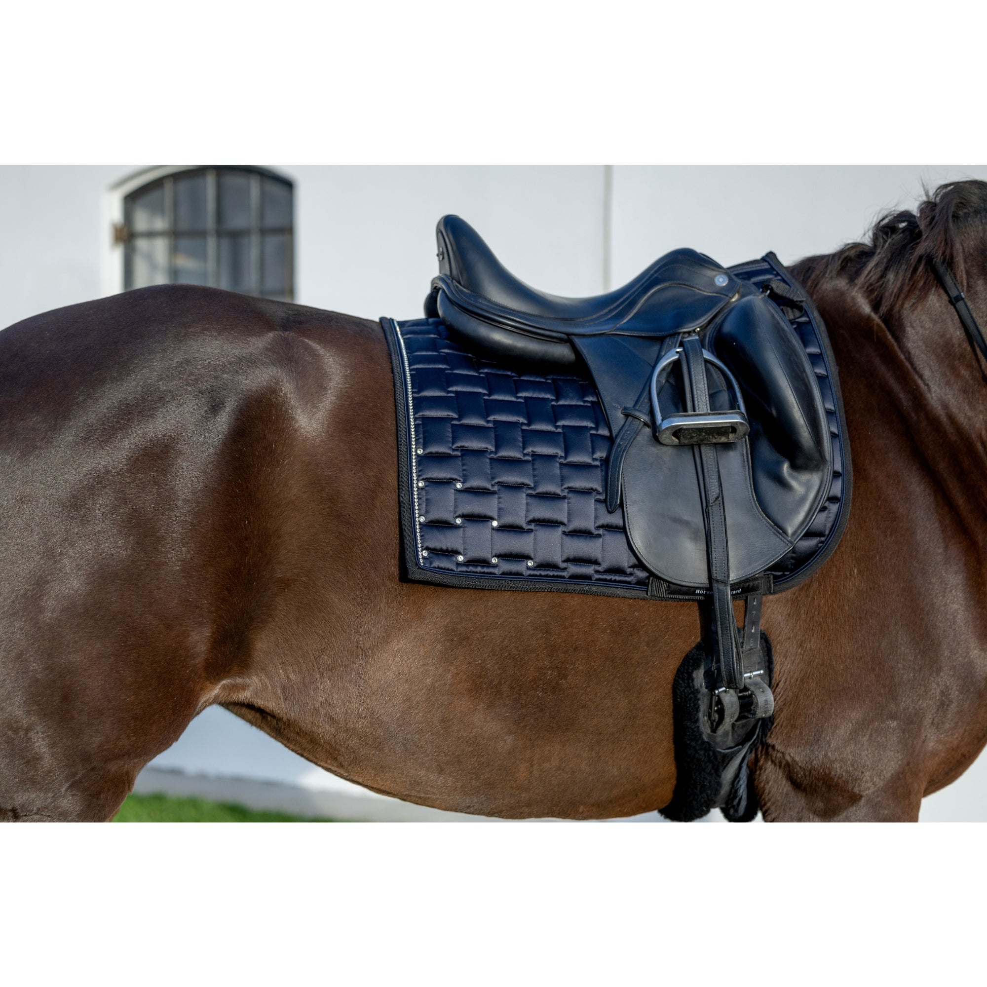 Horse Guard Ville Dressage