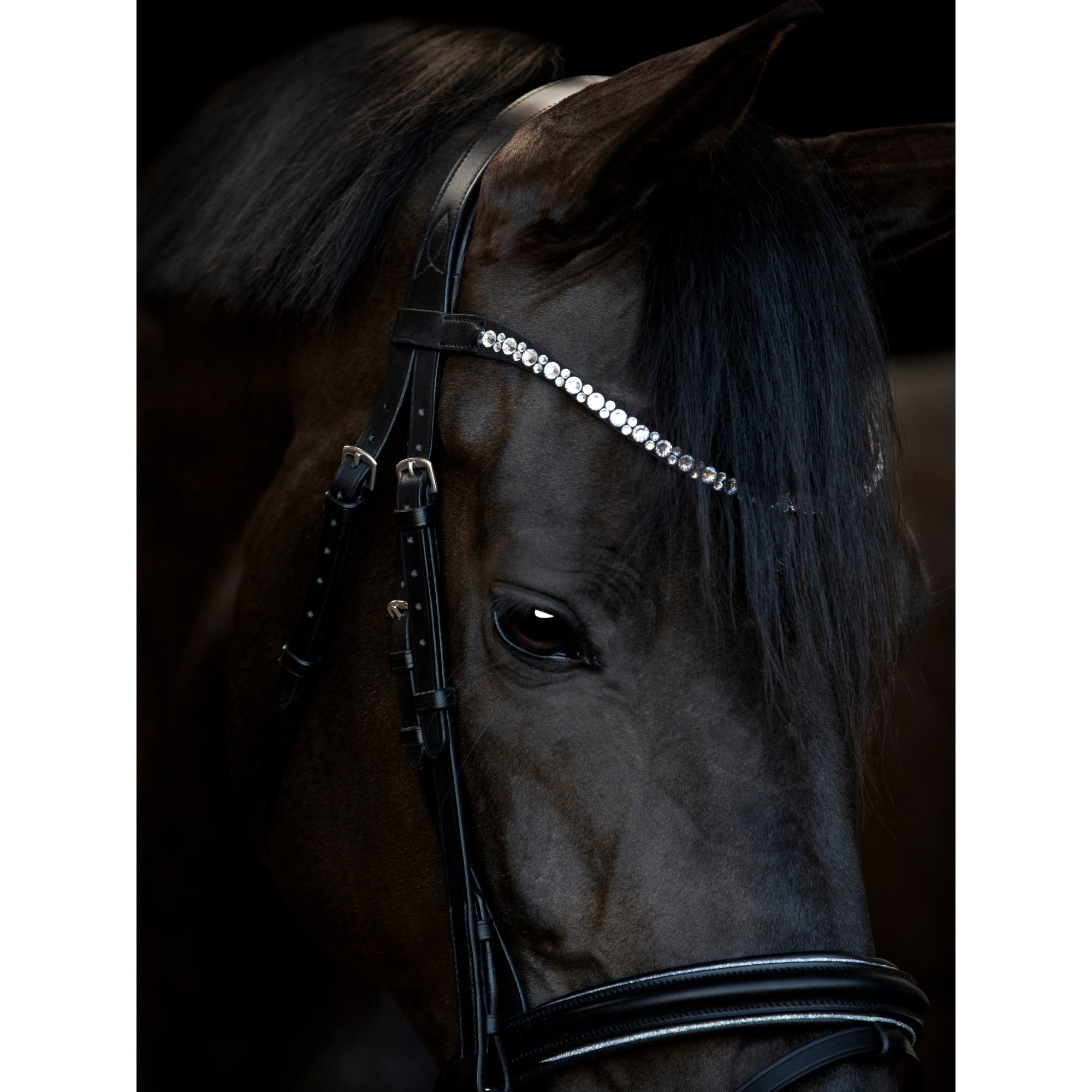 HG Emi 25.1 Bridle W/Combined NB