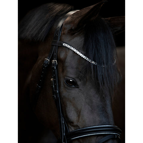 HG Emi 25.1 Bridle W/Combined NB