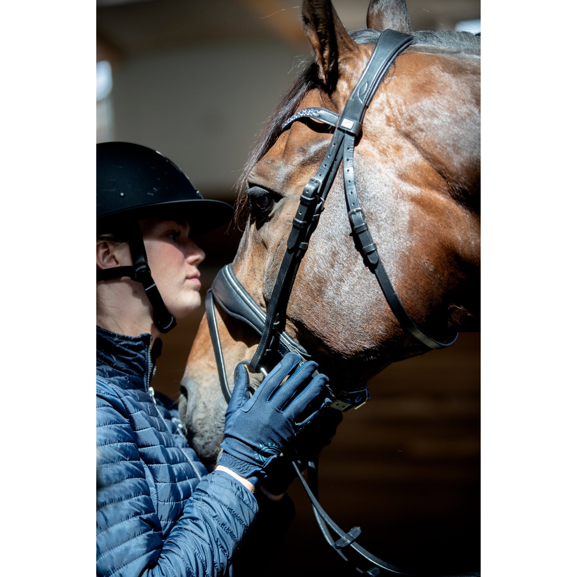 HG Cryll 25.1 Bridle W/PB And Flash