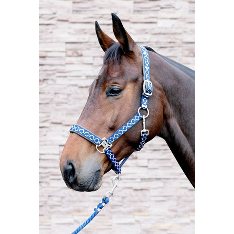 Fairplay Vega Bits Ceramic Halter