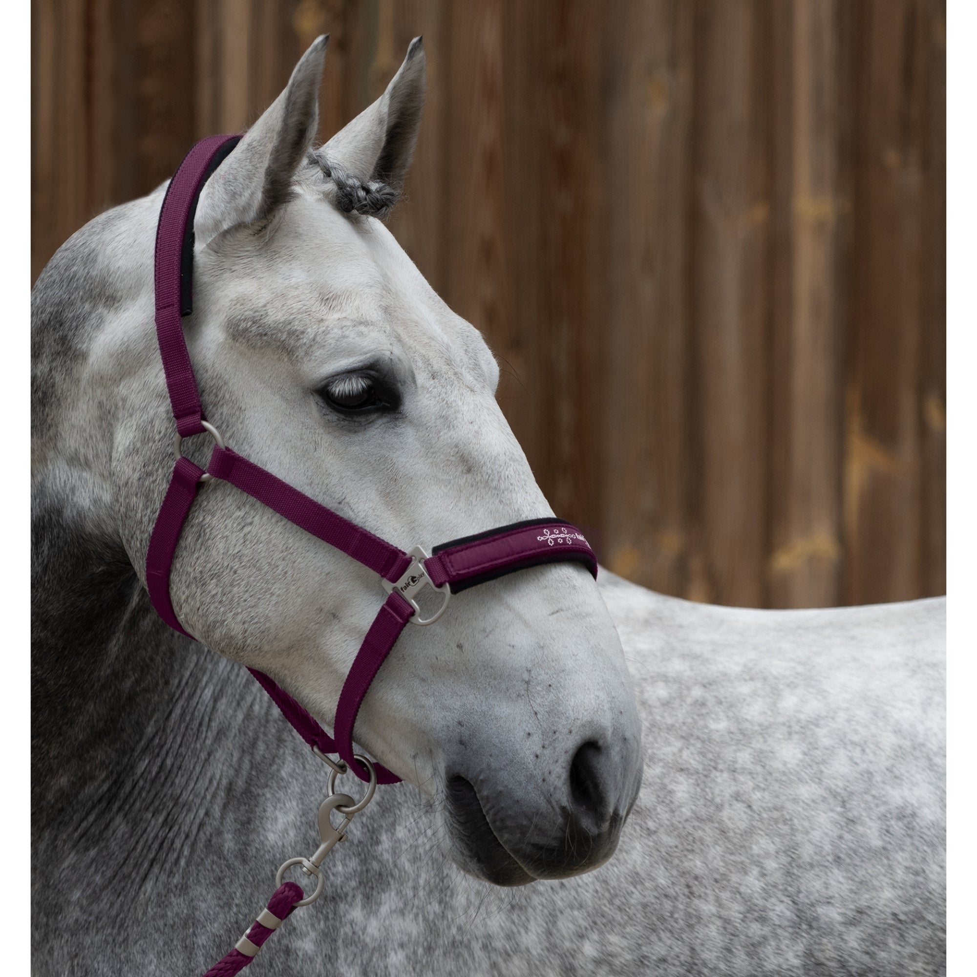 Fairplay Dion Halter