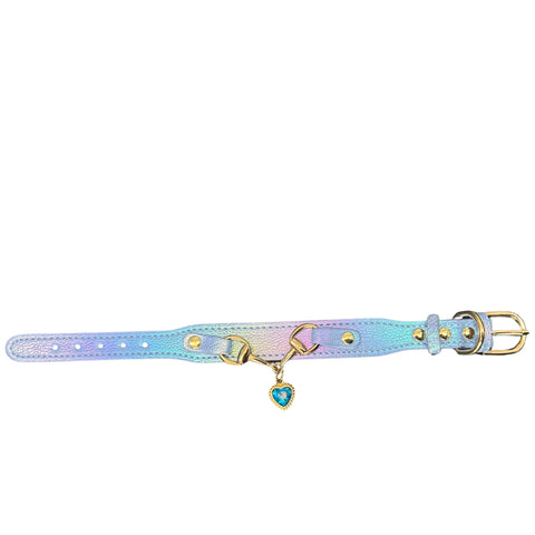 EDC Leather Heart Bit Dog Collar