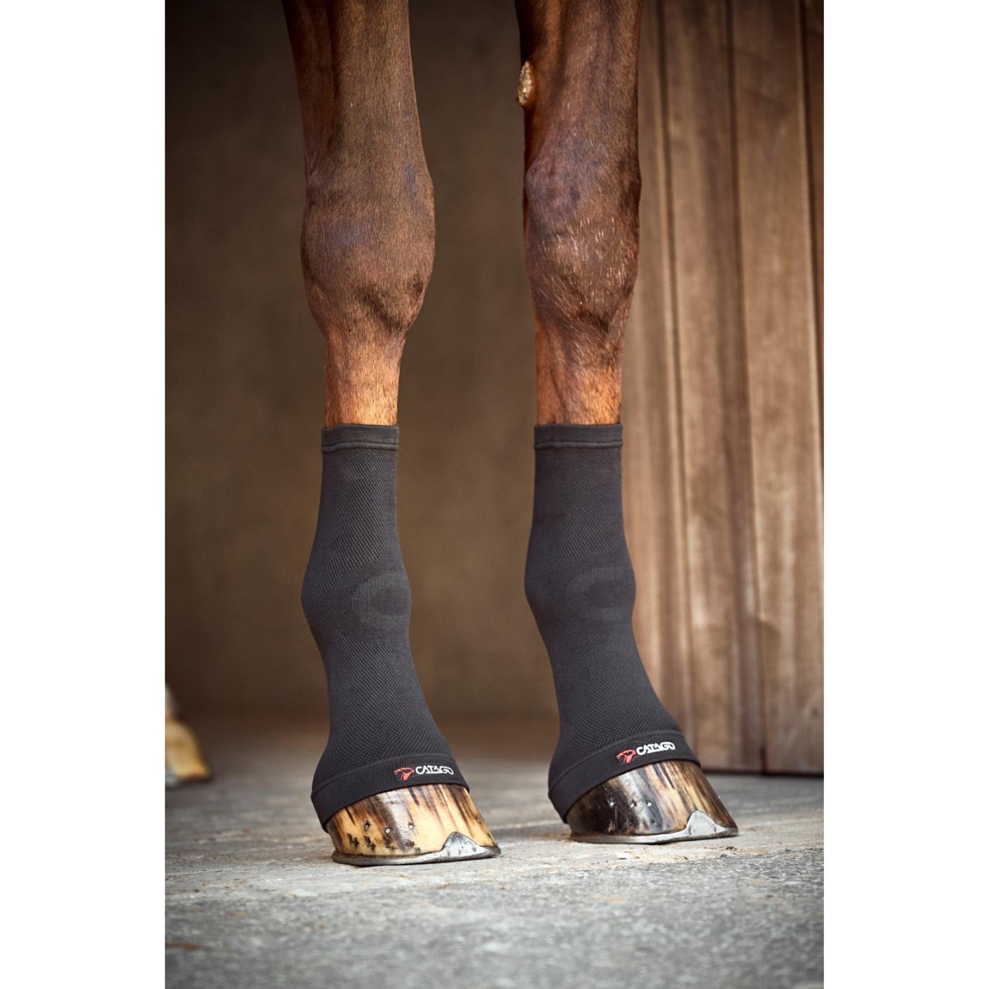 CATAGO FIR-Tech fetlock socks