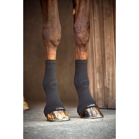 CATAGO FIR-Tech fetlock socks