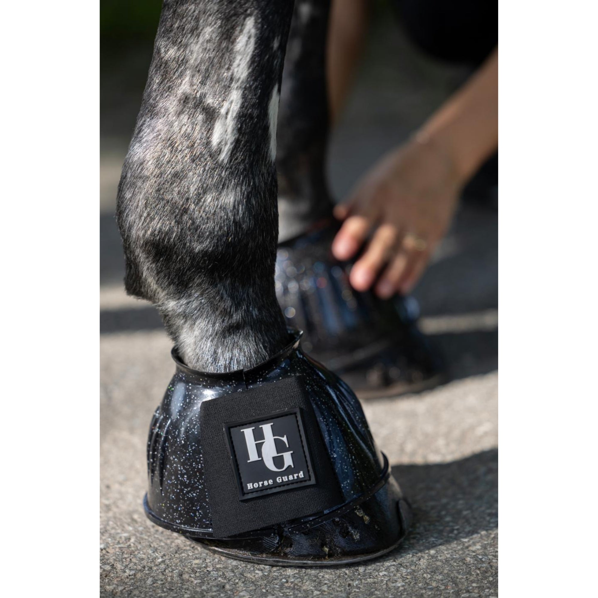 Horse Guard Texas glitter bell boots