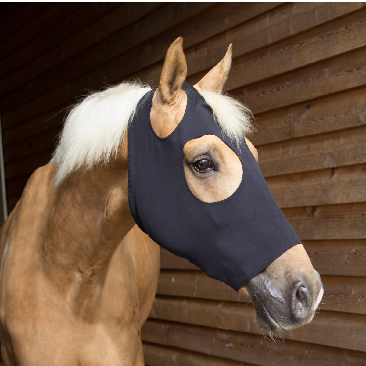 CATAGO FIR-Tech Horse Mask With Ceramic Clay Technology