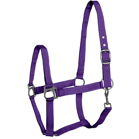 Fair Play Economy Halter Purple