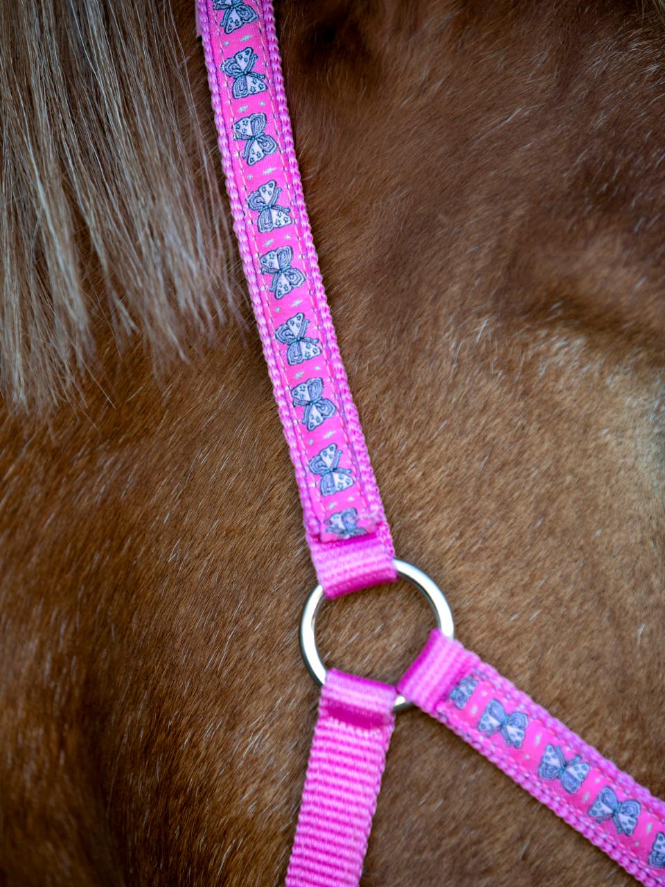 HorseGuard Butterfly Halter