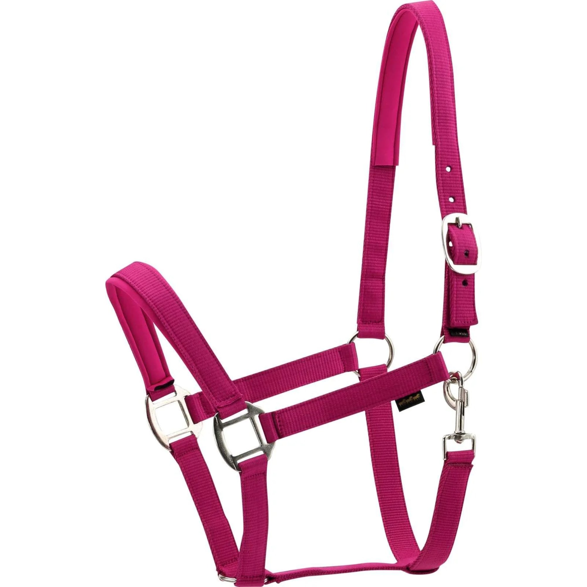 HorseGuard Nylon Halter Pink Purple