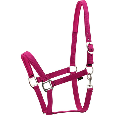 HorseGuard Nylon Halter Pink Purple
