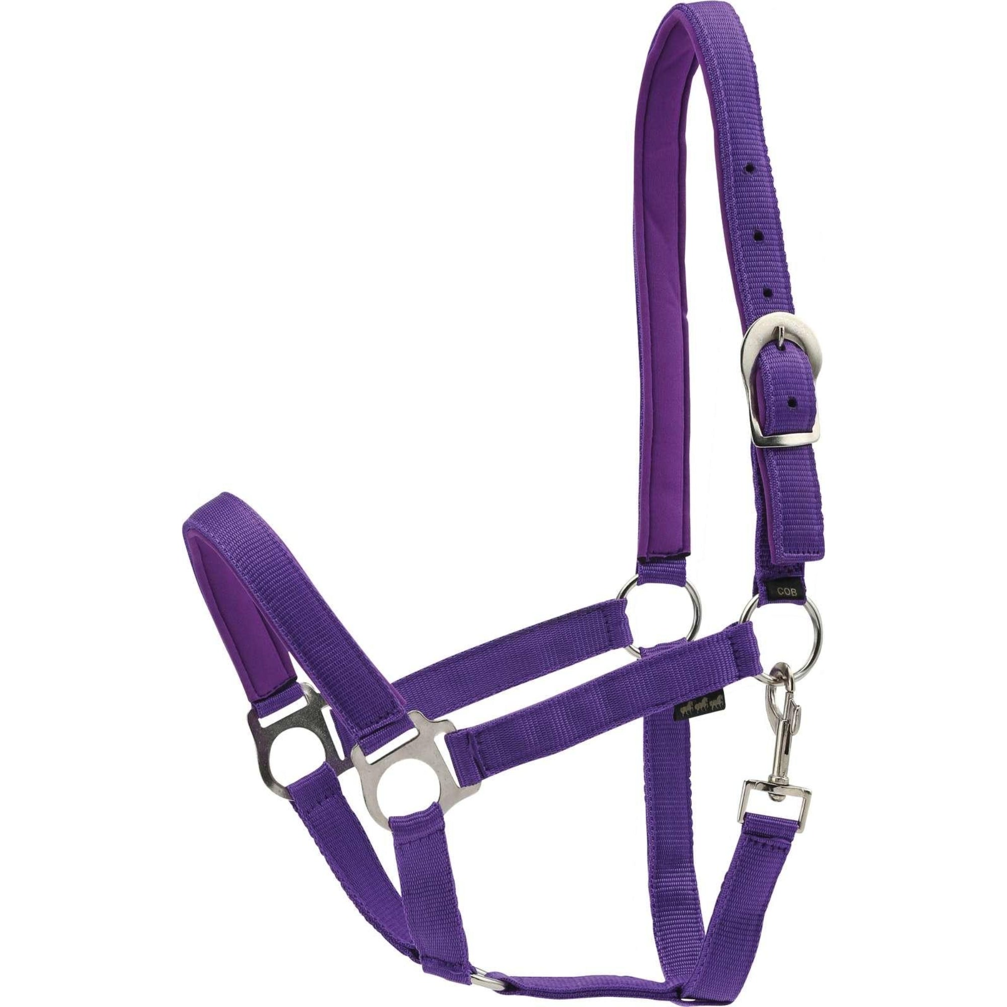 HorseGuard Nylon Halter Purple