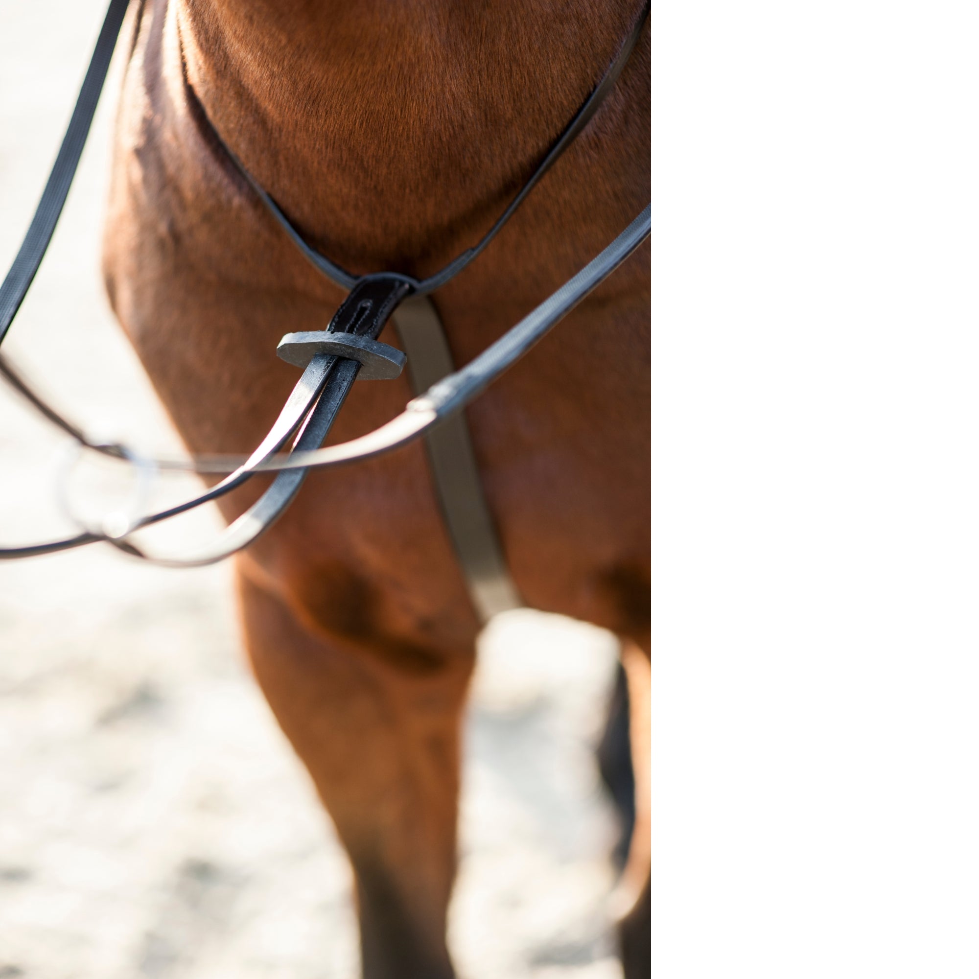 HorseGuard Running Martingale