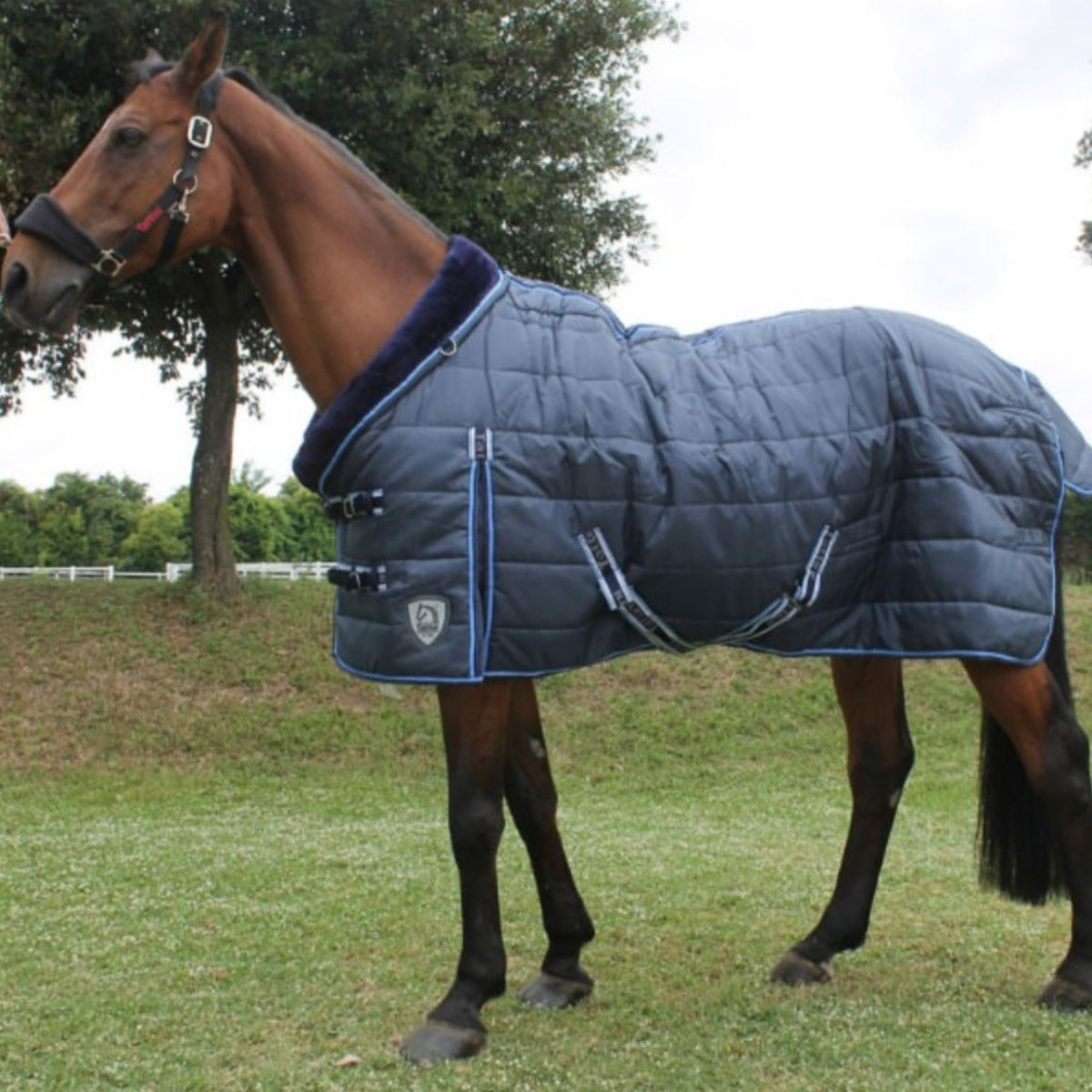 Tattini Lambswool Collar Stable Rug Navy