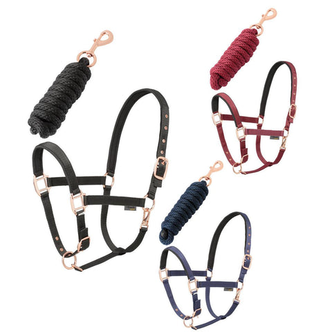 Daslo Gold Nylon Halter And Lead Rope