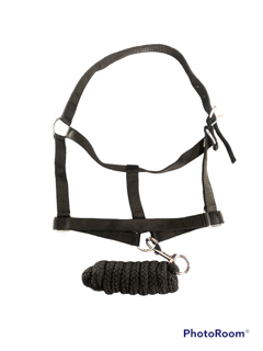EDC Halter with Lead Rope
