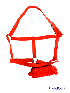 EDC Halter with Lead Rope