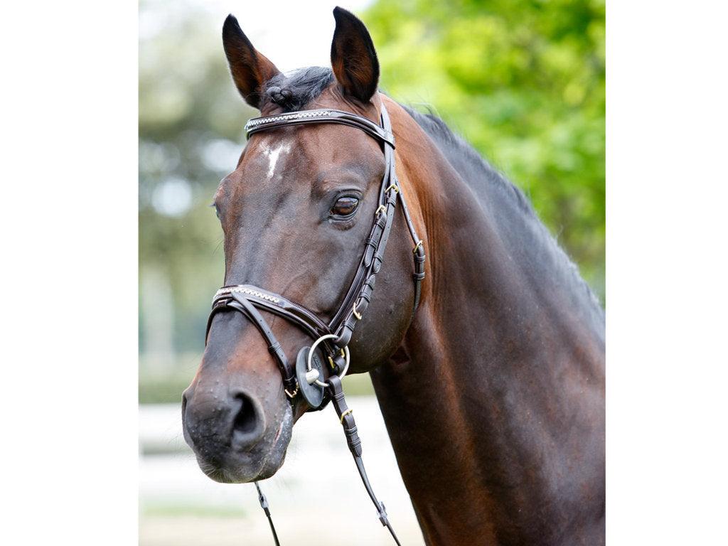 Tattini Headstall Patent Noseband Bridle